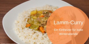 Beitragsbild des Blogbeitrags Lamm-Curry, ein Einheizer an kalten Wintertagen 