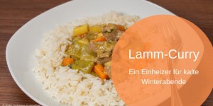 Beitragsbild des Blogbeitrags Lamm-Curry, ein Einheizer an kalten Wintertagen