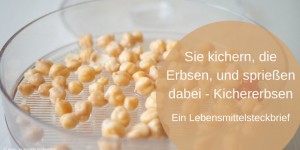 Beitragsbild des Blogbeitrags Sie kichern, die Erbsen, und spriessen dabei – Kichererbsen 