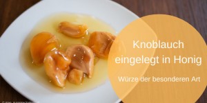 Beitragsbild des Blogbeitrags In Honig eingelegter Knoblauch 