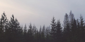 Beitragsbild des Blogbeitrags Logikfehler & fehlende Infos: Was mit “A Cure For Wellness” nicht stimmt 