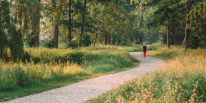 Beitragsbild des Blogbeitrags Grazer Ordnungswache sagt Giftködern in Hundeparks nun den Kampf an