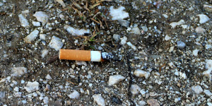 Beitragsbild des Blogbeitrags Für die Umwelt: Frankreich nimmt Zigarettenhersteller stark in die Pflicht 