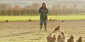 Beitragsbild des Blogbeitrags Mit Award ausgezeichnete App hilft dabei, das Wohlbefinden von Farmtieren zu beurteilen