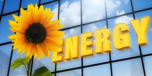 Beitragsbild des Blogbeitrags 2021 gilt als weltweites Rekordjahr für erneuerbare Energien