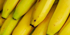Beitragsbild des Blogbeitrags Neue Anbaumethode soll tropische Früchte in Deutschland wachsen lassen