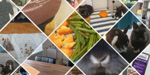Beitragsbild des Blogbeitrags Its Fri-YAY, baby!