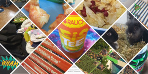 Beitragsbild des Blogbeitrags Jeden Tag ein neues Hobby – oder so…