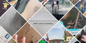 Beitragsbild des Blogbeitrags Von zusammengetriebenen Lamas und Tornados in Bee City