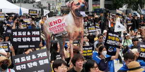 Beitragsbild des Blogbeitrags Südkorea verbietet ab 2027 Verzehr von Hundefleisch 