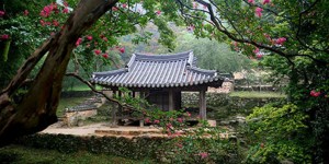 Beitragsbild des Blogbeitrags Daebak Korea Festival in Essen – Eintritt frei