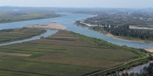 Beitragsbild des Blogbeitrags Nordkorea hat Projektile erneut abgefeuert 