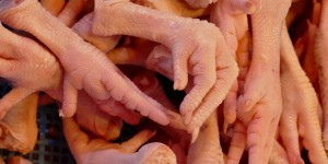Beitragsbild des Blogbeitrags Die 8 bizarrsten Nahrungsmittel, die Korea bereithält 