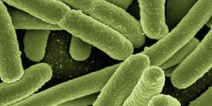 Beitragsbild des Blogbeitrags Gesundheitsbehörden warnen vor Grippeausbreitung
