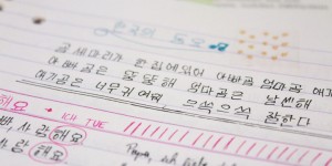 Beitragsbild des Blogbeitrags Macht es Sinn, Koreanisch neben einer zweiten Sprache zu lernen?