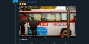 Beitragsbild des Blogbeitrags Was hat es eigentlich mit den Twitter-Fancams auf sich?