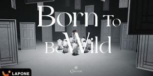 Beitragsbild des Blogbeitrags MV: JO1 “Born to be Wild” 