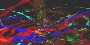 Beitragsbild des Blogbeitrags MV: MIMICRY-X “Disillusionment” 