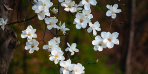 Beitragsbild des Blogbeitrags Yeah und Sunn haben cignature verlassen 