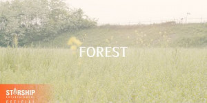 Beitragsbild des Blogbeitrags MV: Jung Sewoon “Be a Fool (FOREST)” 