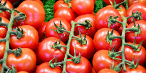 Beitragsbild des Blogbeitrags So wichtig ist die Tomate in der koreanischen Küche 