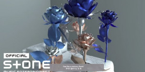 Beitragsbild des Blogbeitrags MV: CCOLA “THE ROSE” 