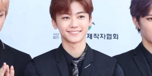 Beitragsbild des Blogbeitrags 9 Fakten über Na Jaemin