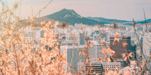 Beitragsbild des Blogbeitrags Covid-Infektion bei Dreamcatcher & ASTRO – hier ein schneller Roundup