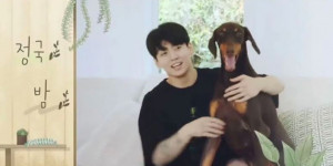 Beitragsbild des Blogbeitrags Das Internet zerfließt wegen JKs Bahm, dabei ist das nicht sein erster Hund