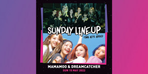 Beitragsbild des Blogbeitrags KPOP Flex geben MAMAMOO & Dreamcatcher als finale Acts bekannt + hier ist das Statement vom Veranstalter zur Kritik