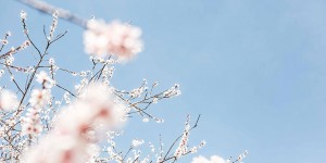 Beitragsbild des Blogbeitrags 20 Zeitfresser im Alltag – und wie du sie am besten vermeidest 