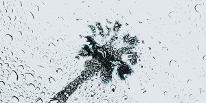 Beitragsbild des Blogbeitrags Auch mit Rechtschreibschwäche richtig abrocken 