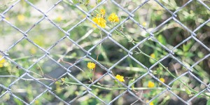 Beitragsbild des Blogbeitrags 5 Anzeichen, dass du langsamer bloggen solltest
