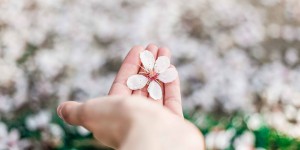 Beitragsbild des Blogbeitrags 6 Anzeichen, dass du eine Blog-Pause brauchst