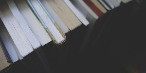 Beitragsbild des Blogbeitrags Was sind Low Content Bücher und warum kann man damit Geld verdienen?