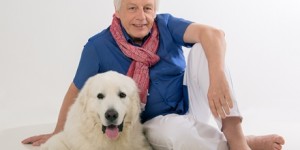 Beitragsbild des Blogbeitrags Aurachirurg Peter Linshalm operiert mit Leidenschaft da, wo es keiner sieht 
