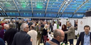 Beitragsbild des Blogbeitrags Weinviertel DAC Präsentation 2018 in Linz