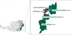 Beitragsbild des Blogbeitrags Rosalia DAC – Österreich jüngstes DAC-Weinbaugebiet 