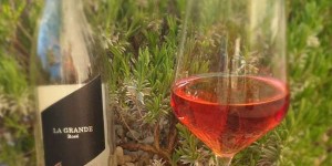 Beitragsbild des Blogbeitrags Weingut Pfaffl – Rosé LA GRANDE 2018 verkostet 