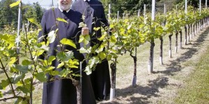 Beitragsbild des Blogbeitrags Wein und Bier im Klösterreich