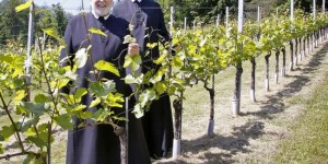 Beitragsbild des Blogbeitrags Wein und Bier im Klösterreich 