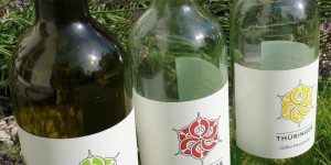 Beitragsbild des Blogbeitrags Weingut Thüringer – eine Verkostung