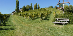 Beitragsbild des Blogbeitrags Südsteiermark von der schönsten Seite