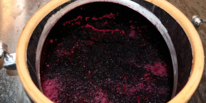 Beitragsbild des Blogbeitrags Tannine im Rotwein helfen gegen Covid-19 ?