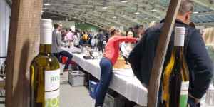 Beitragsbild des Blogbeitrags Wein & Genuss 2022 Linz – erstes großes Weinevent 