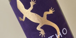Beitragsbild des Blogbeitrags Weingut Zantho – Reserven-Verkostung