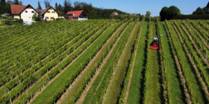 Beitragsbild des Blogbeitrags Steiermark – die sanften Hügel und sein Wein