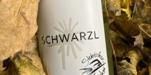 Beitragsbild des Blogbeitrags Der Junker 2022 ist da!