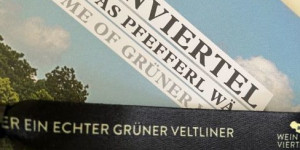 Beitragsbild des Blogbeitrags Weinviertel DAC Jahrgang 2022 Verkostung