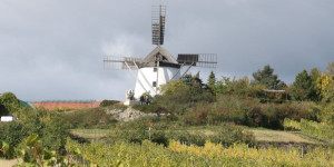 Beitragsbild des Blogbeitrags Weinviertel DAC on Tour 2023